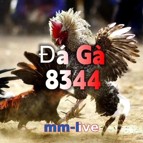 mm-live